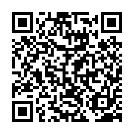 QR code for plate DGV 213