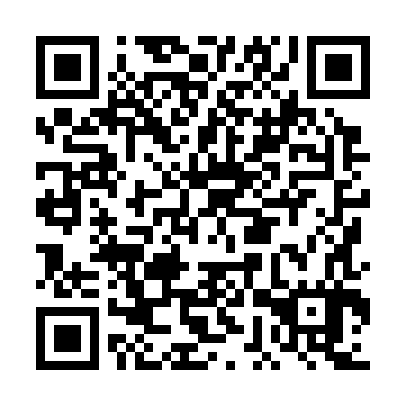 QR code for plate DGX 387
