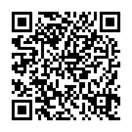 QR code for plate DGX 934