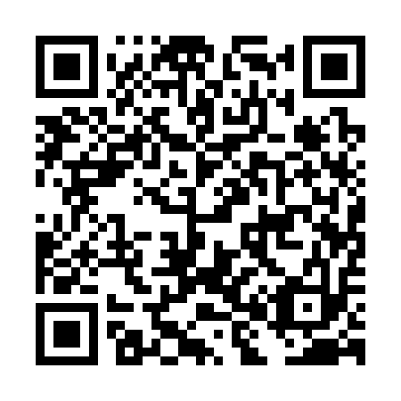 QR code for DH 1313