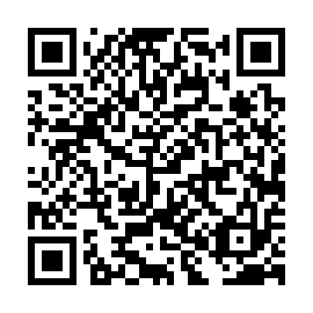 QR code for DH 4313