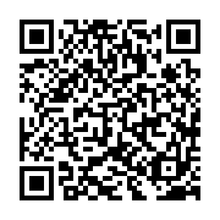 QR code for DH 8313