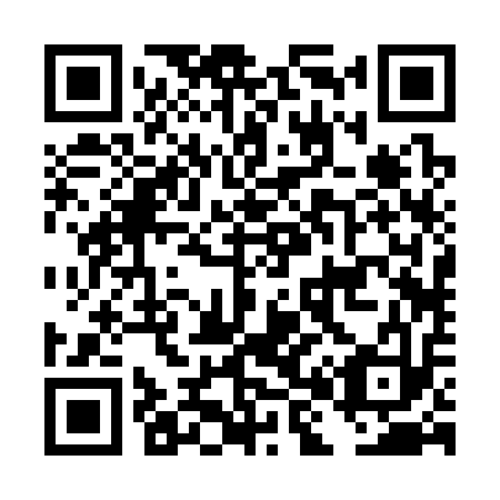 QR code for DH2313