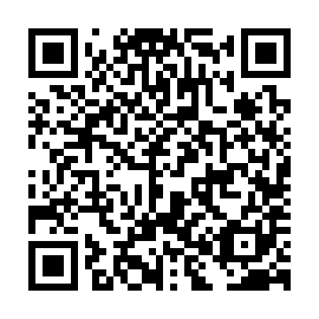 QR code for plate DH 6381