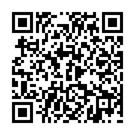 QR code for plate DHA 209