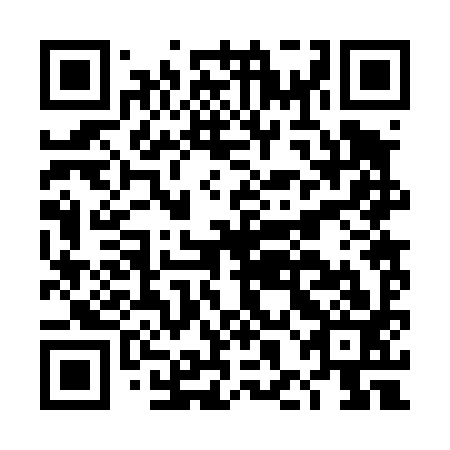 QR code for plate DHB 493