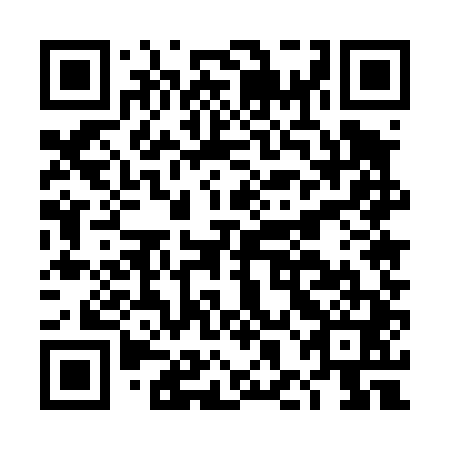 QR code for DHE 441