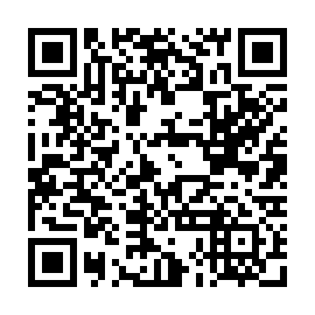 QR code for plate DHF 331