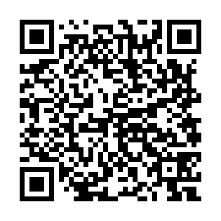 QR code for plate DHF 978