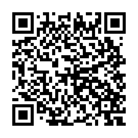 QR code for plate DHG 307