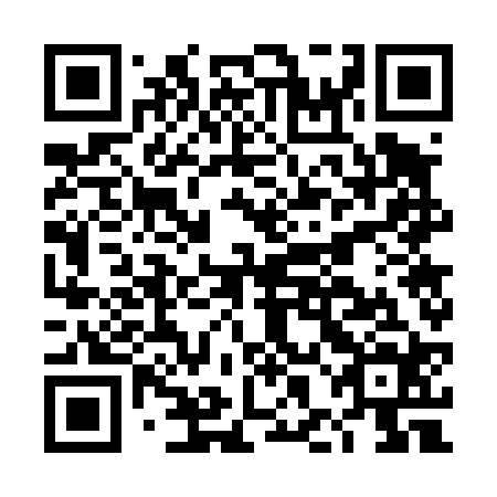 QR code for plate DHG 424