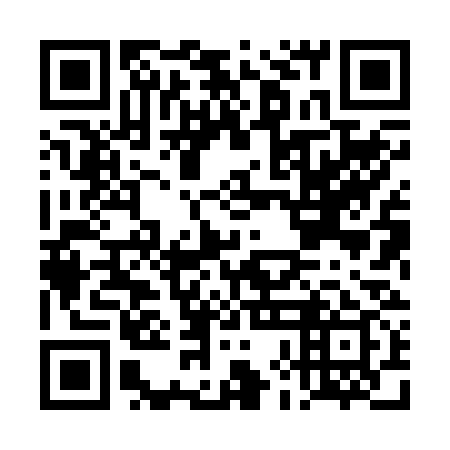 QR code for plate DHH 239
