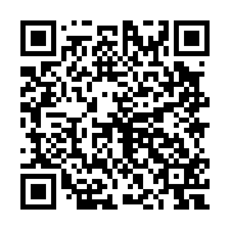 QR code for DHI013