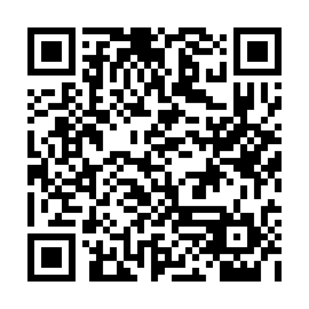 QR code for DHL 334