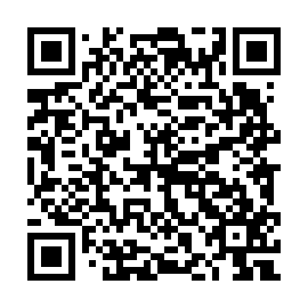 QR code for DHL 617