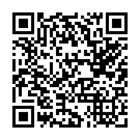 QR code for DHL228
