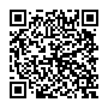 QR code for DHM 466