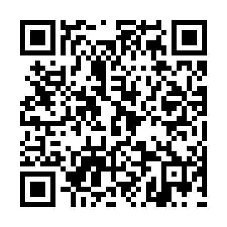 QR code for plate DHN 200