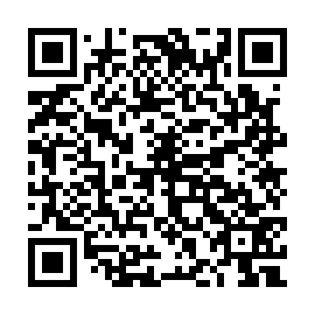 QR code for DHO 173