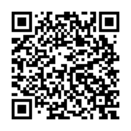 QR code for DHO 377