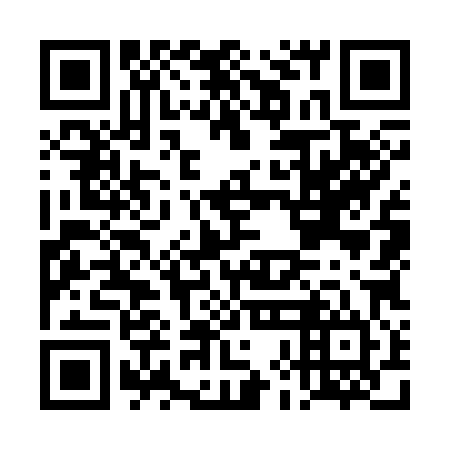 QR code for DHO 384