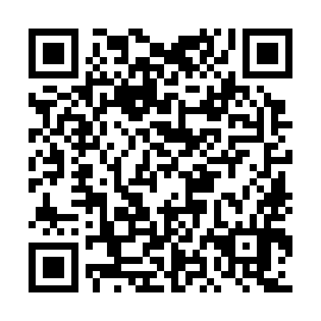 QR code for DHO 394