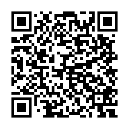 QR code for DHO 508
