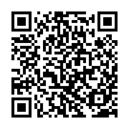 QR code for plate DHQ 085