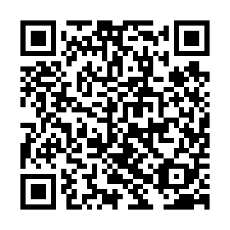 QR code for plate DHQ 609