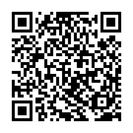 QR code for plate DHR 460