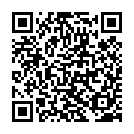QR code for plate DHS 450