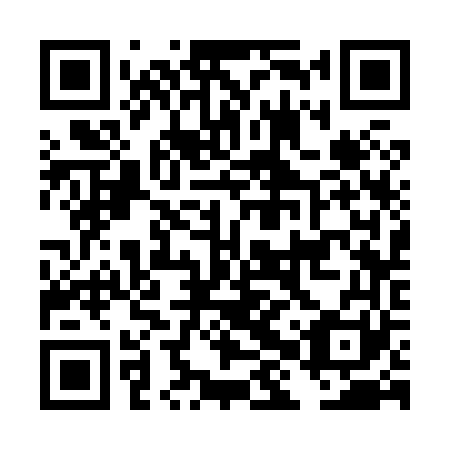 QR code for plate DHS 861