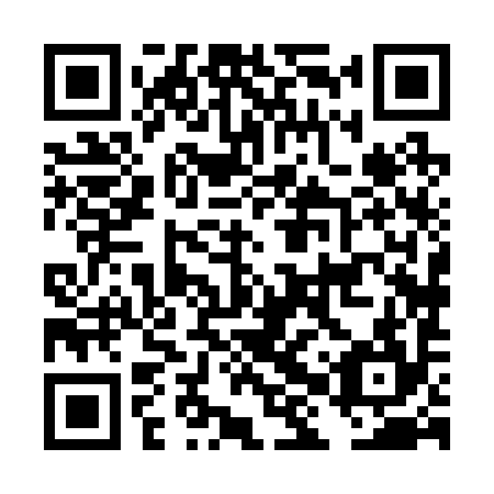 QR code for plate DHX 294