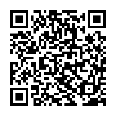 QR code for DHX313