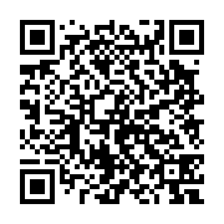 QR code for DI 0038