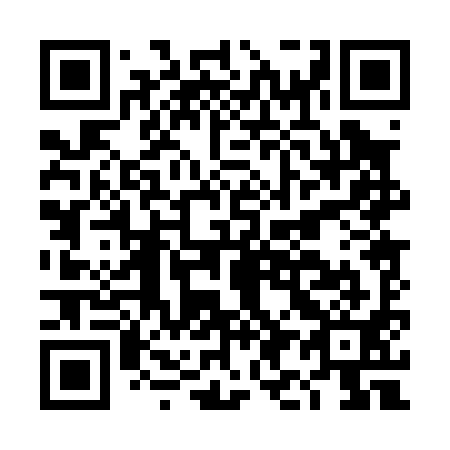 QR code for DI 0091