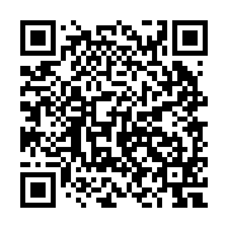 QR code for DI 0295