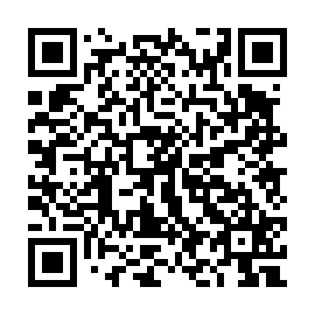 QR code for DI 0425