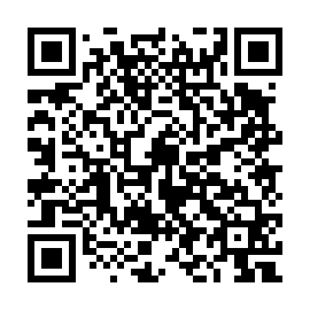 QR code for DI 0460