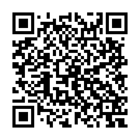 QR code for DI 0523