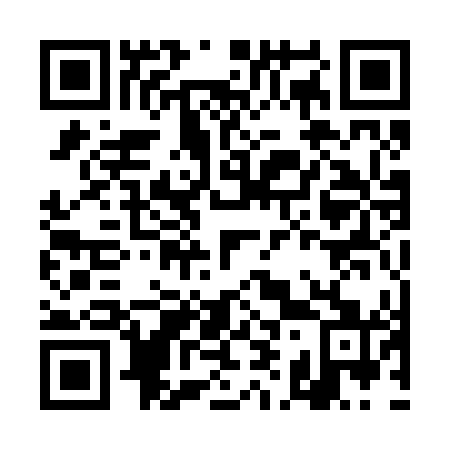 QR code for DI 1241