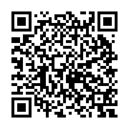 QR code for DI 1250