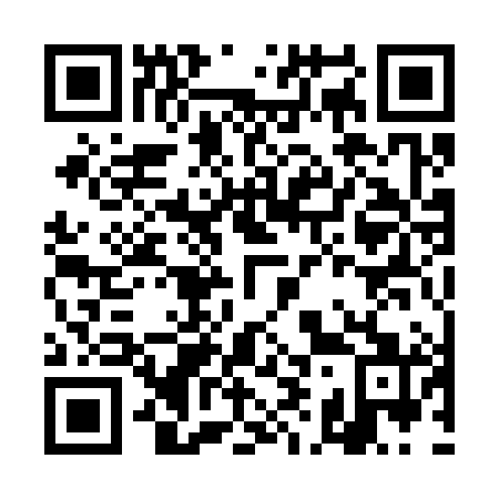QR code for DI 1381