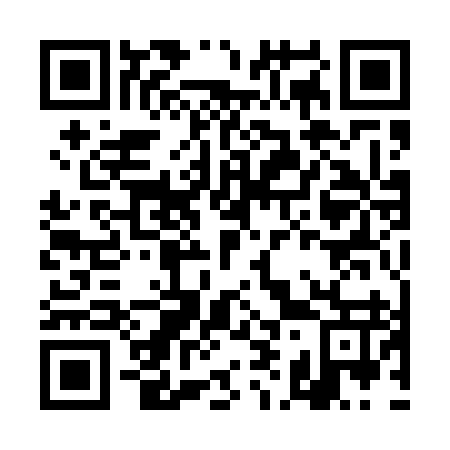 QR code for DI 1597