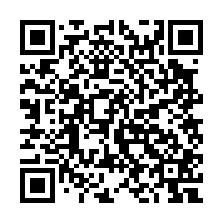 QR code for DI 2001