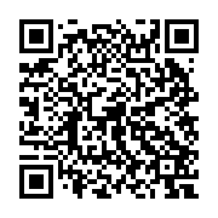 QR code for DI 2203