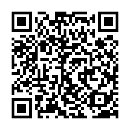 QR code for DI 2539