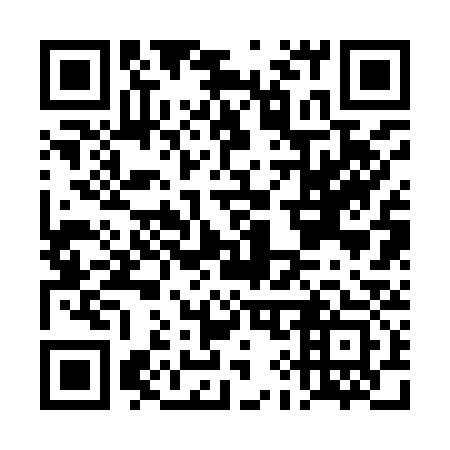 QR code for DI 2933