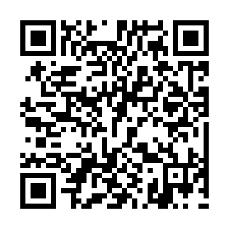 QR code for DI 2994