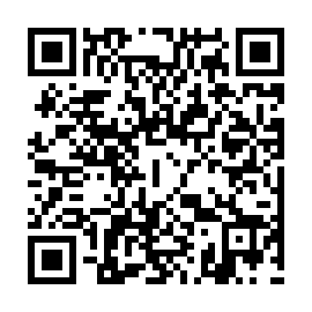 QR code for DI 3828